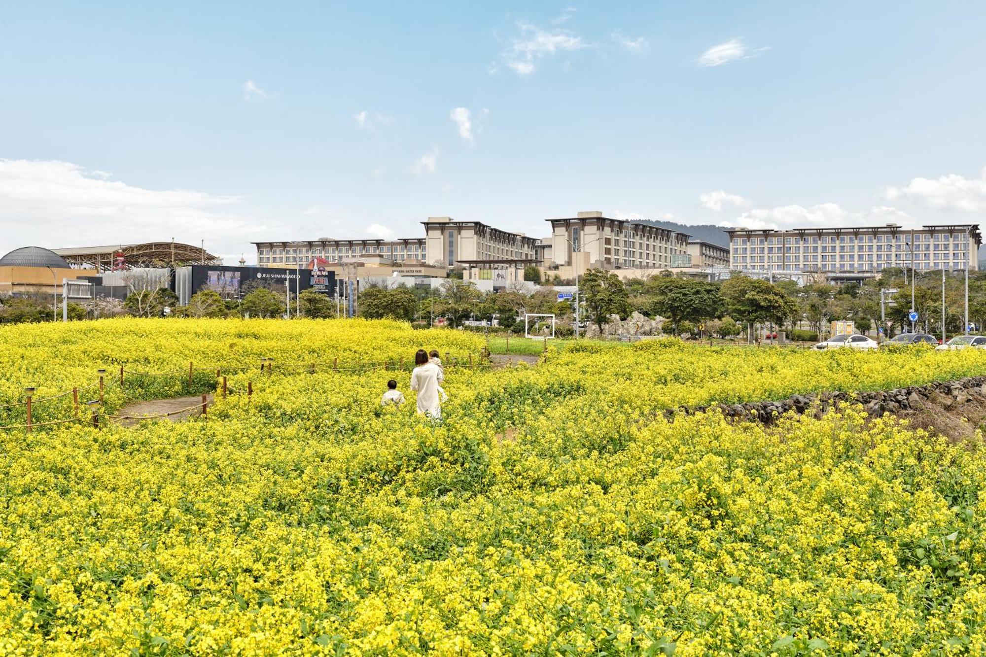 Somerset Jeju Shinhwa World Seogwipo